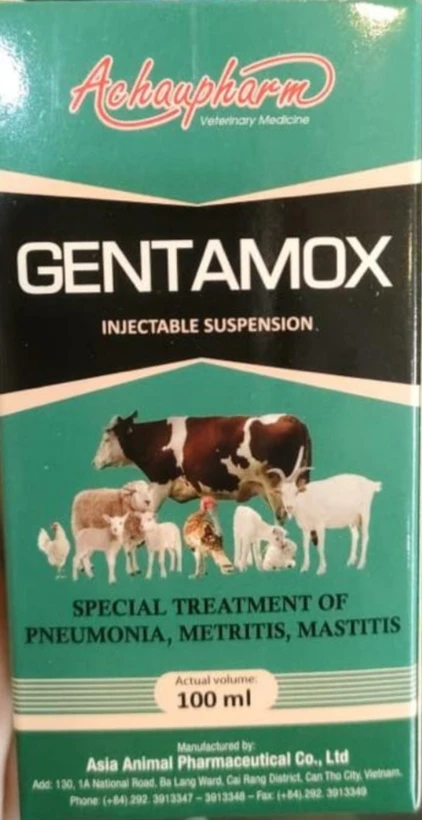 محلول تزریقی جنتاموکس (Gentamox) 100 میلیلیتر | آنتیبیوتیک دامپزشکی برای درمان عفونت، پنومونی و متریت | ساخت ویتنام