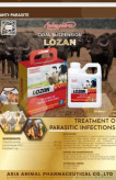 سوسپانسیون خوراکی ضد انگل لوزان (Lozan) ۱ لیتری | اکسیکلوزاناید + لوامیزول | ساخت ویتنام