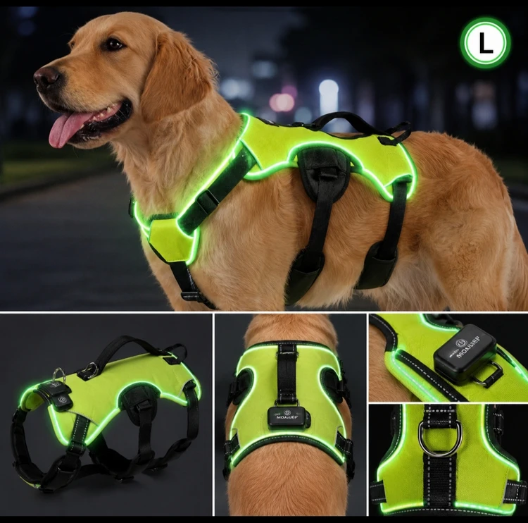 قلاده کتفی سگ LED ضد فرار سایز L | بند شارژی چراغ‌دار با کنترل و نوار بازتابنده
