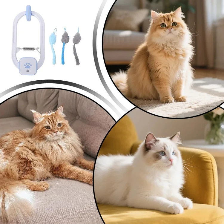 اسباببازی موشی تعاملی گربه با نصب روی چارچوب در | کنترل از راه دور و حالتهای بازی