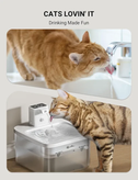 آبخوری شارژی سگ و گربه DownyPaws ظرفیت ۲.۵ لیتر، استیل ضدزنگ و سنسوردار